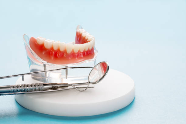  Mount Wolf, PA Holistic Dental Services Pros